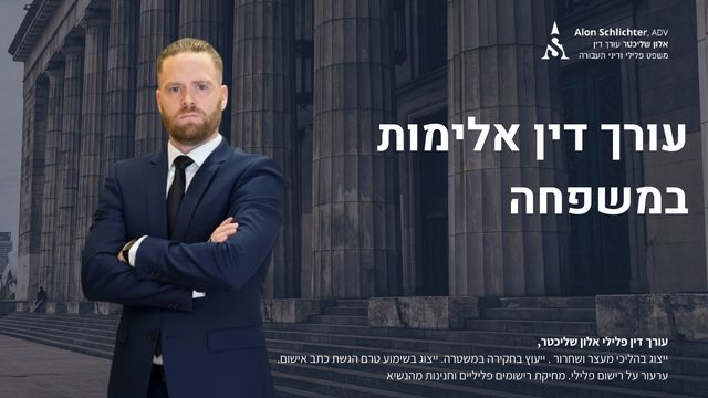 עורך דין אלימות במשפחה - אלון שליכטר