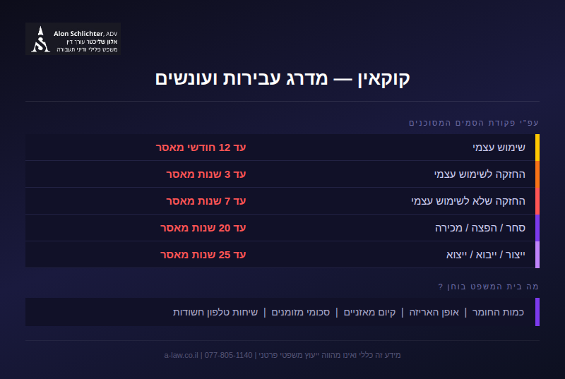 קוקאין מדרג עבירות ועונשים
